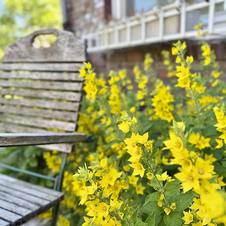 Haus Anschuetz - Wilhelmshaven